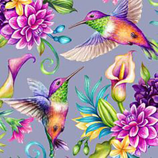 Colibríes 105 - 2026
