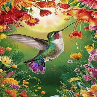 Colibríes 35-2026