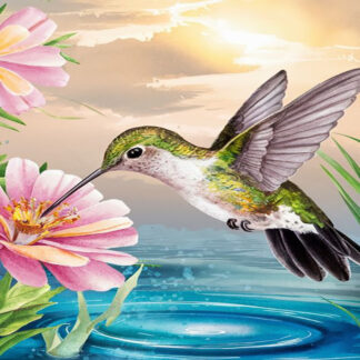 Colibríes 38-2026
