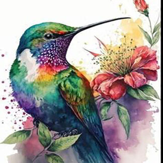 Colibríes 46-2026