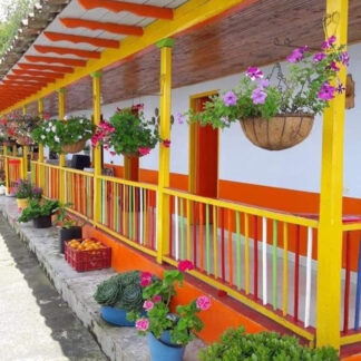 Paisajes 55- 2026