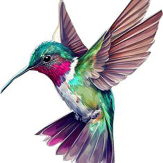 Colibríes 57-2026