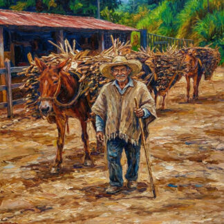 Paisajes 65- 2026