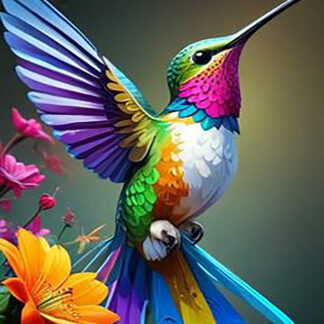 Colibríes 72-2026