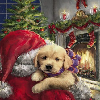 Navidad 81 - 2026