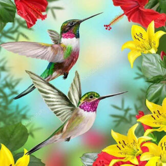 Colibríes 84-2026